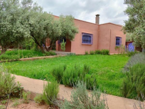 Tissi House